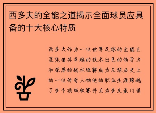 西多夫的全能之道揭示全面球员应具备的十大核心特质