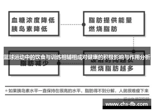 篮球运动中的饮食与训练相辅相成对健康的积极影响与作用分析 篮球运动中的饮食与训练相辅相成对健康的积极影响与作用分析