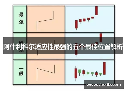 阿什利科尔适应性最强的五个最佳位置解析 阿什利科尔适应性最强的五个最佳位置解析