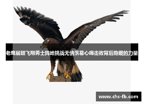 老鹰展翅飞翔勇士阵地挑战无情落幕心痛击败背后隐藏的力量