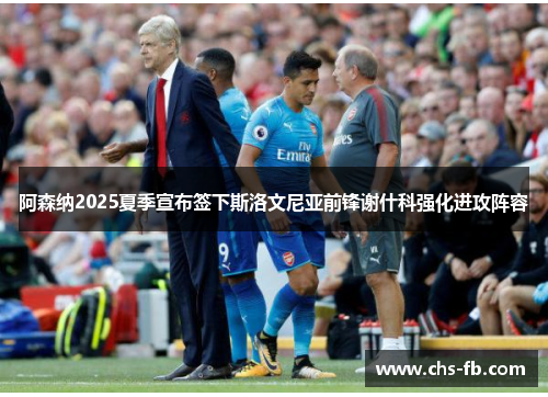 阿森纳2025夏季宣布签下斯洛文尼亚前锋谢什科强化进攻阵容 阿森纳2025夏季宣布签下斯洛文尼亚前锋谢什科强化进攻阵容
