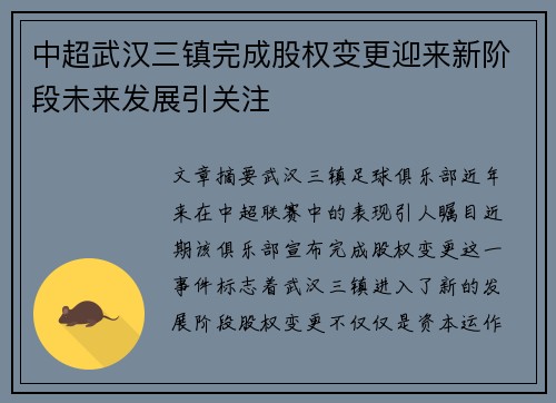 中超武汉三镇完成股权变更迎来新阶段未来发展引关注